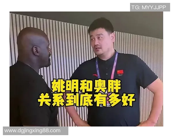姚明的篮球智慧与NBA发展之路的深度探索与学习心得分享