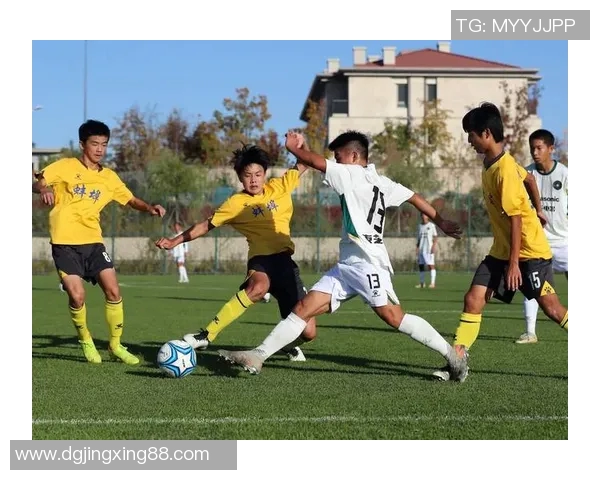 未来退役足球明星的职业转型与人生新篇章探讨