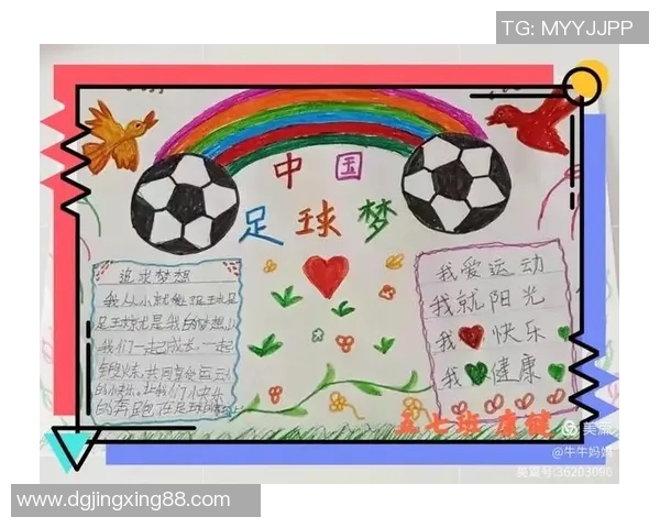 我心中的足球英雄日记与他们的传奇故事