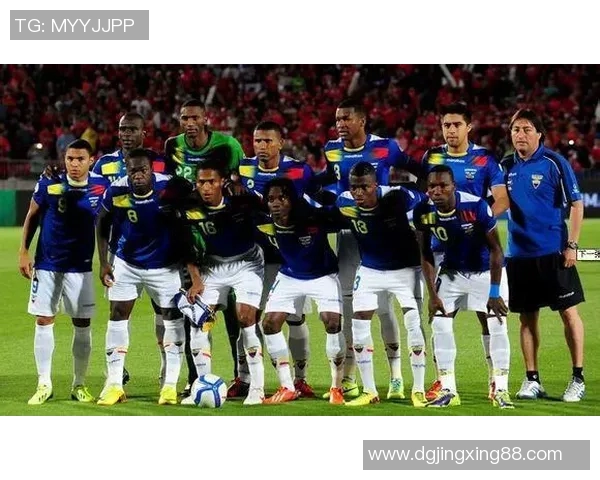 国际赛前瞻瑞典对秘鲁双方实力与战术分析